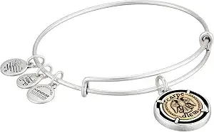 Alex And Ani Women'S Carpe Diem Bangle Two Tone Bracelet, Rafaelian Silver, Expandable