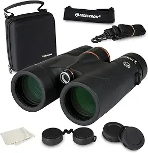 Celestron Regal Ed 10x42 Roof Binoculars – Ed Glass For Hunting & Wildlife