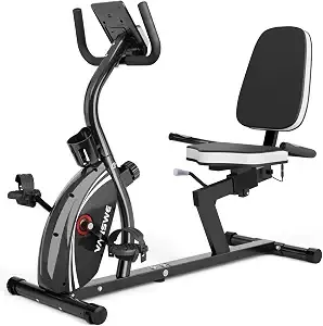 Vanswe Recumbent Exercise Bike For Home Seniors With 380 Lb Weight Capacity