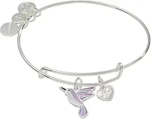 Alex And Ani Joy' Hummingbird Duo Charm Bangle Bracelet
