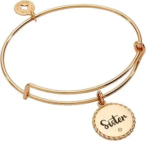 Alex And Ani Sister Charm Bangle Bracelet For Women
