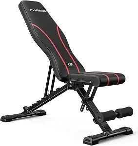 Flybird Adjustable Weight Bench, Full Body Workout Bench For Home Gym (L)